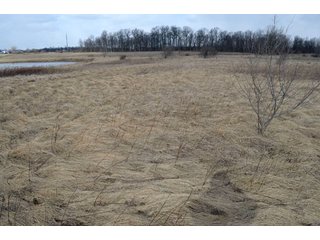Property photo 21 - 127 Acres Offered in 8 Tracts - Allen & Dekalb County Land